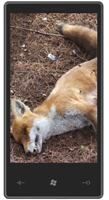 Firefox is dead on Windows Phone 7