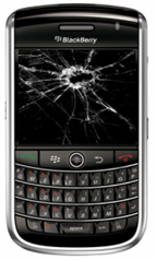 broken_blackberry-180x300