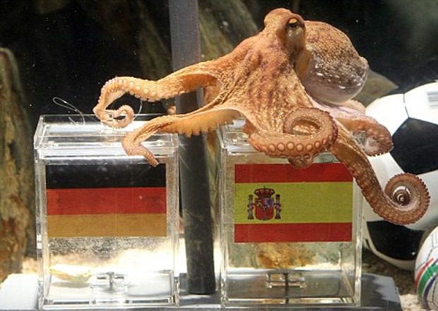 Paul the octopus