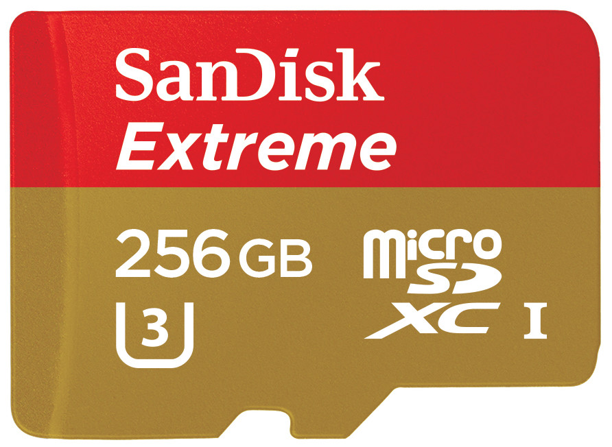 sandisk extreme 256GB card
