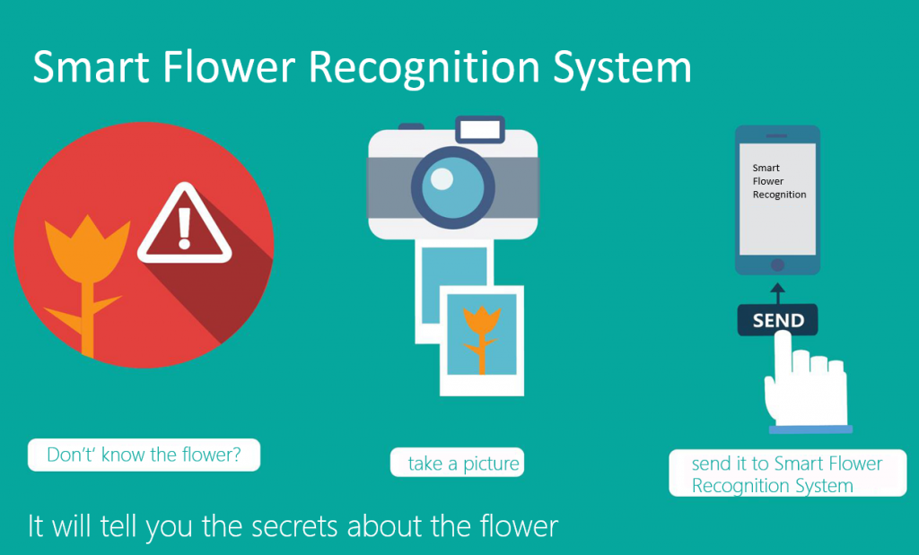 Microsoft Research Flower Recognition