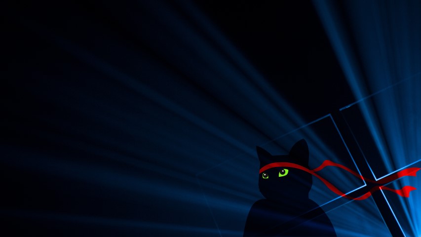 Download The New Ninjacat Windows 10 Wallpapers Mspoweruser