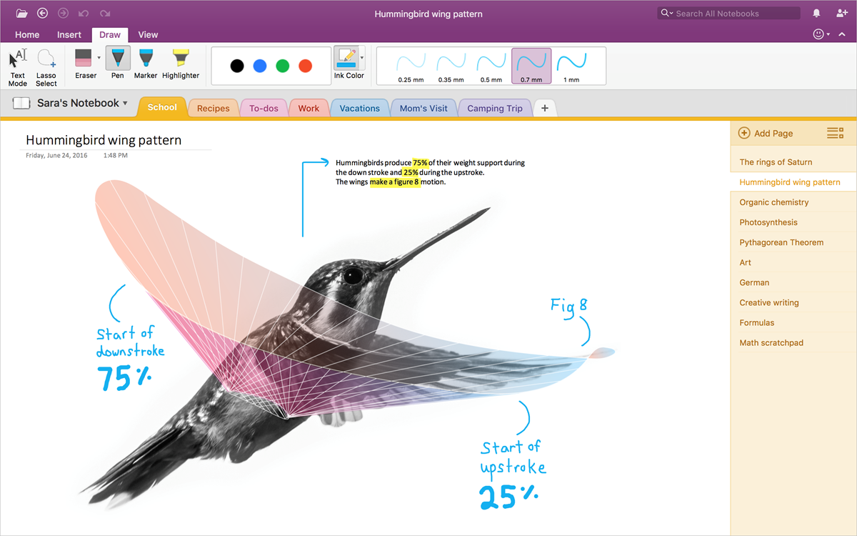 OneNote Mac