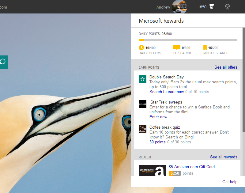 Want to find out if you have Microsoft Rewards? Just click on the medal on Bing's homepage and look at the name.