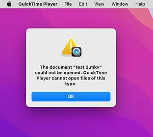 File Not Compatible With Quicktime Best Fixes