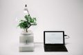 Microsoft's Project Florence Lets You Talk To Your Plants And Them 