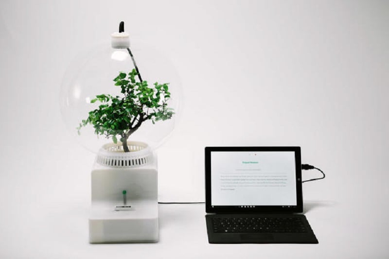 Microsoft’s Project Florence lets you talk to your plants… and them talk back