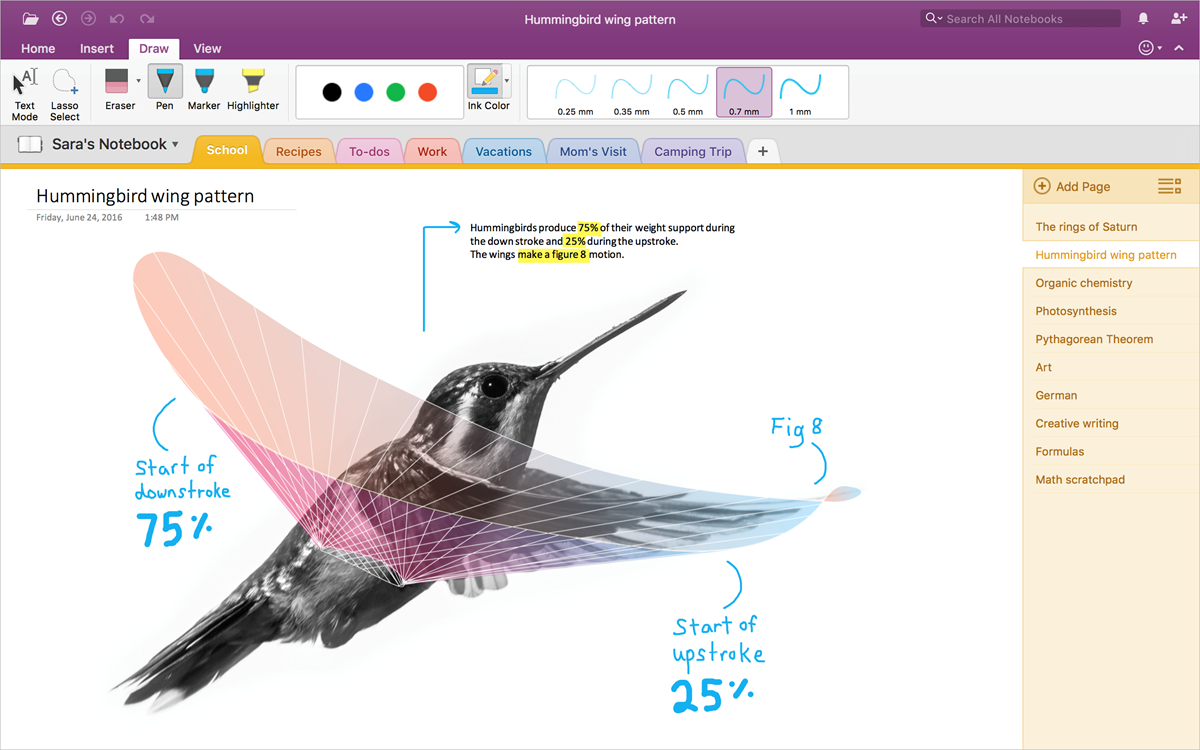 Microsoft releases OneNote Importer tool for Mac