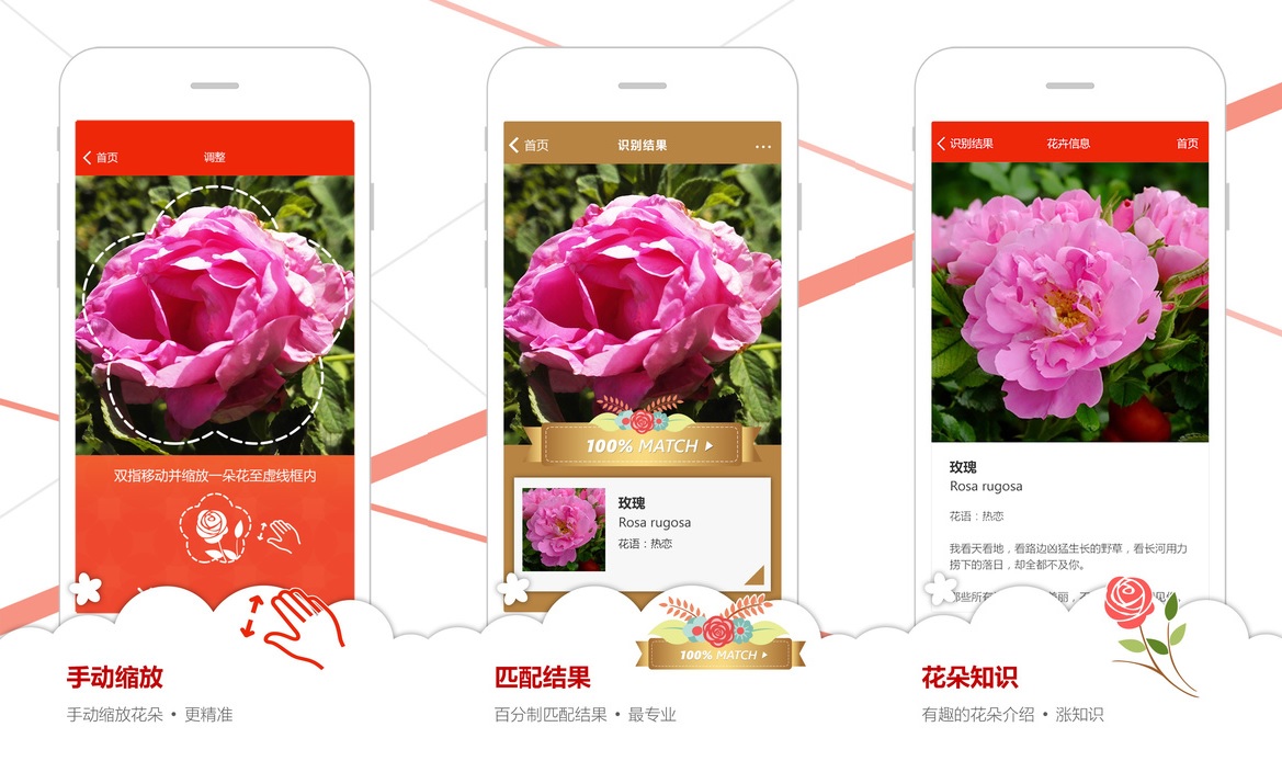 Microsoft Garage’s Flower Recognition app now available in China for iOS users