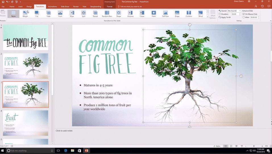 Microsoft announces support for Scalable Vector Graphics (SVGs) in Office apps