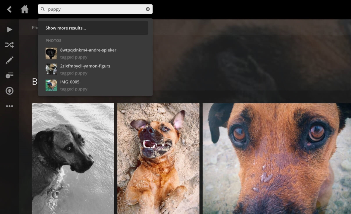 Plex introduces new smart tagging feature for photos