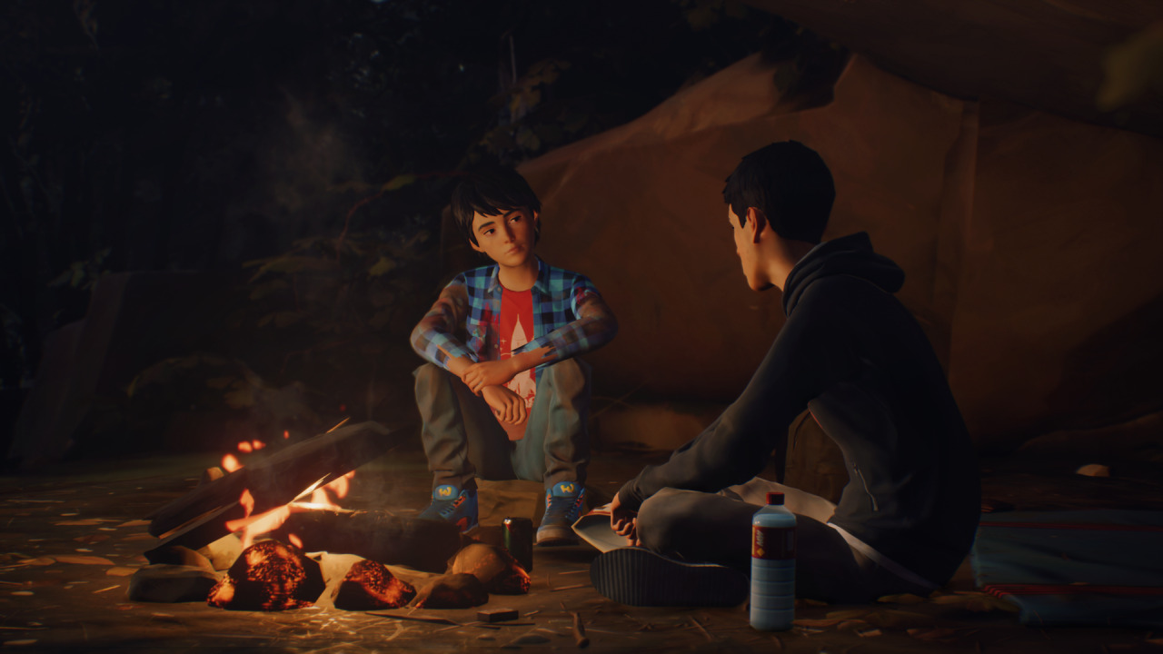 Life is strange 2 достижения эпизод 3