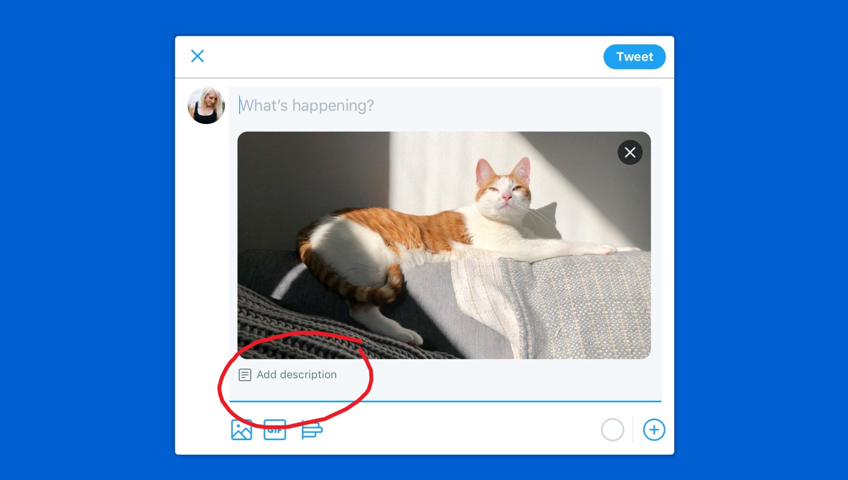 photo of Twitter PWA for Windows 10 to get new accessibility feature image