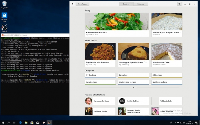 Flatpaks is now available for Windows 10 but via workaround