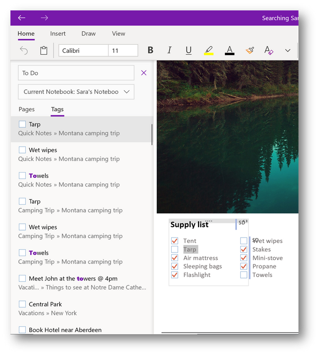 how to insert code to onenote gem for onenote