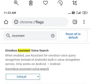 Canary deals google assistant