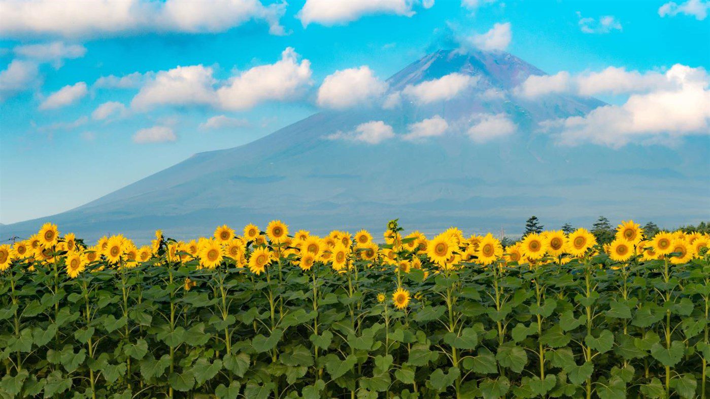 windows 10 photos change background color