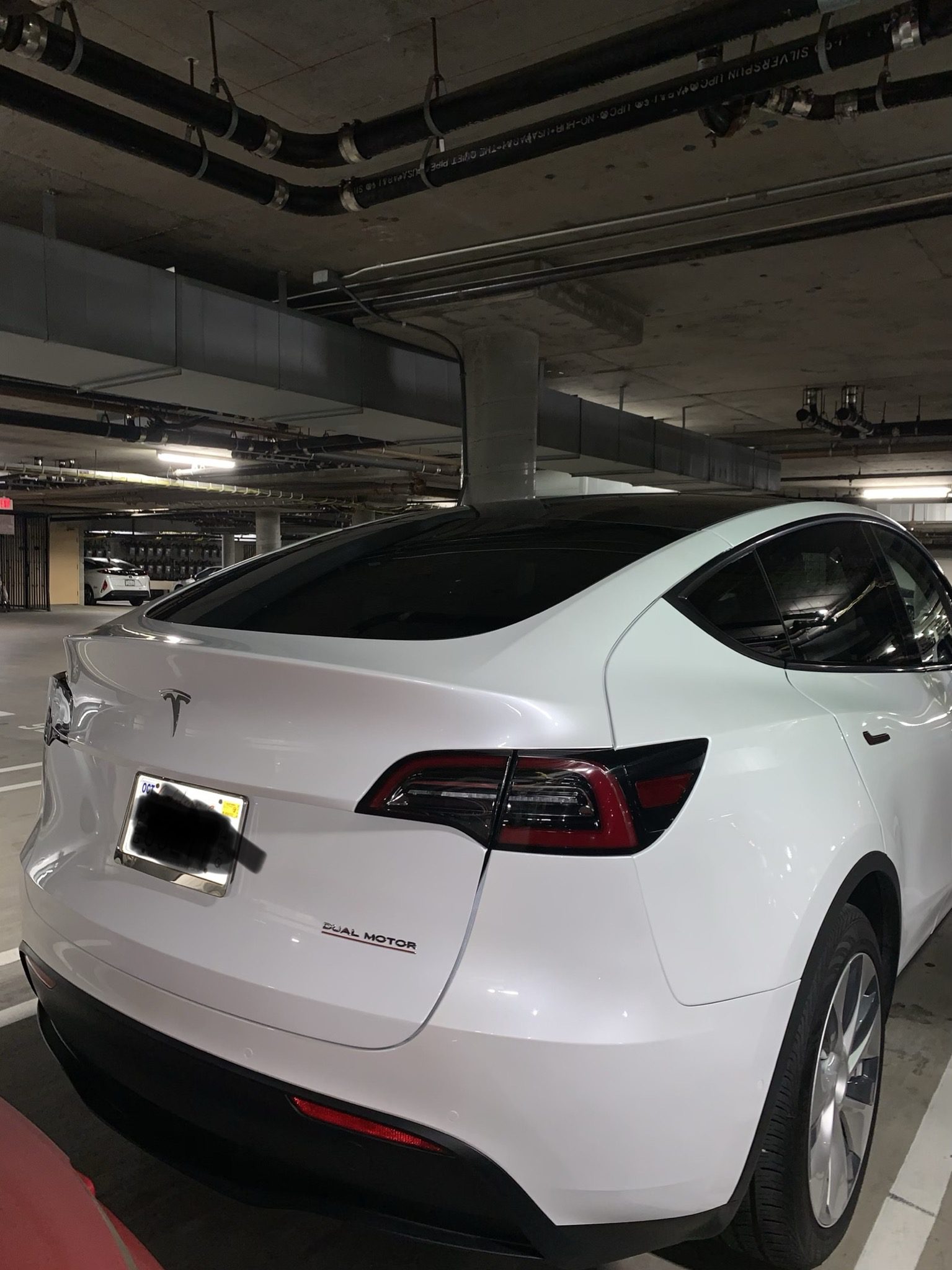 Download Tesla Model Y with white seats spotted in the wild ...