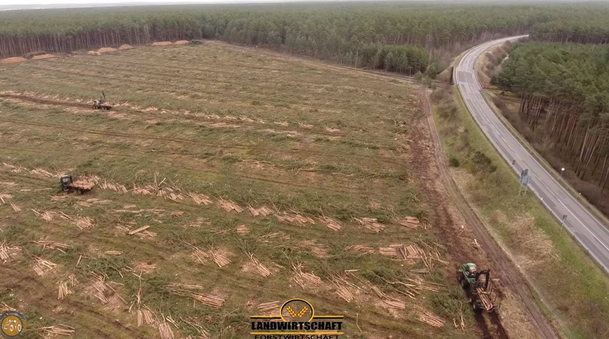 Tesla completes tree clearance at  Gigafactory Berlin