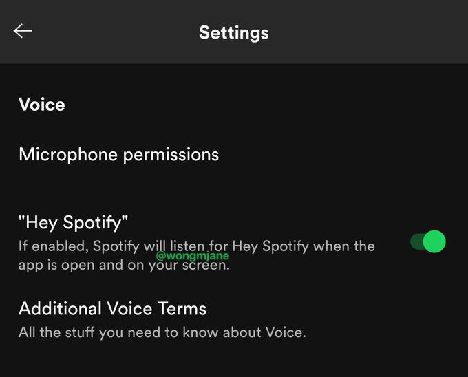 Spotify is working on its own voice assistant which can be invoked with  Hey Spotify - MSPoweruser