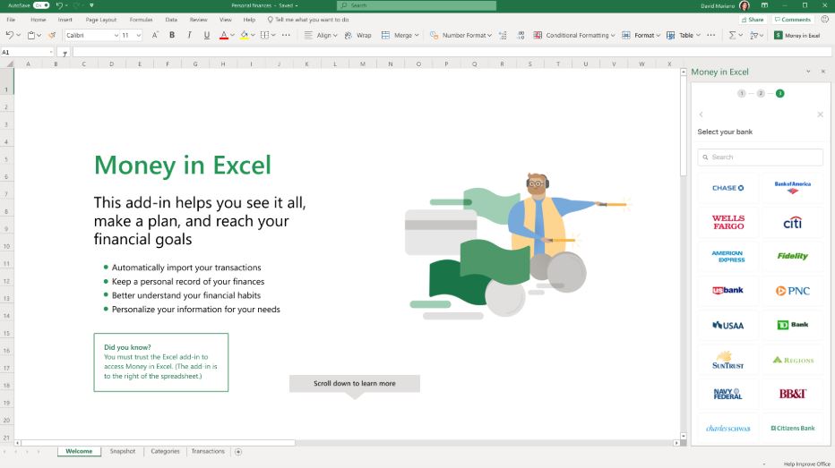 Microsoft Money in Excel