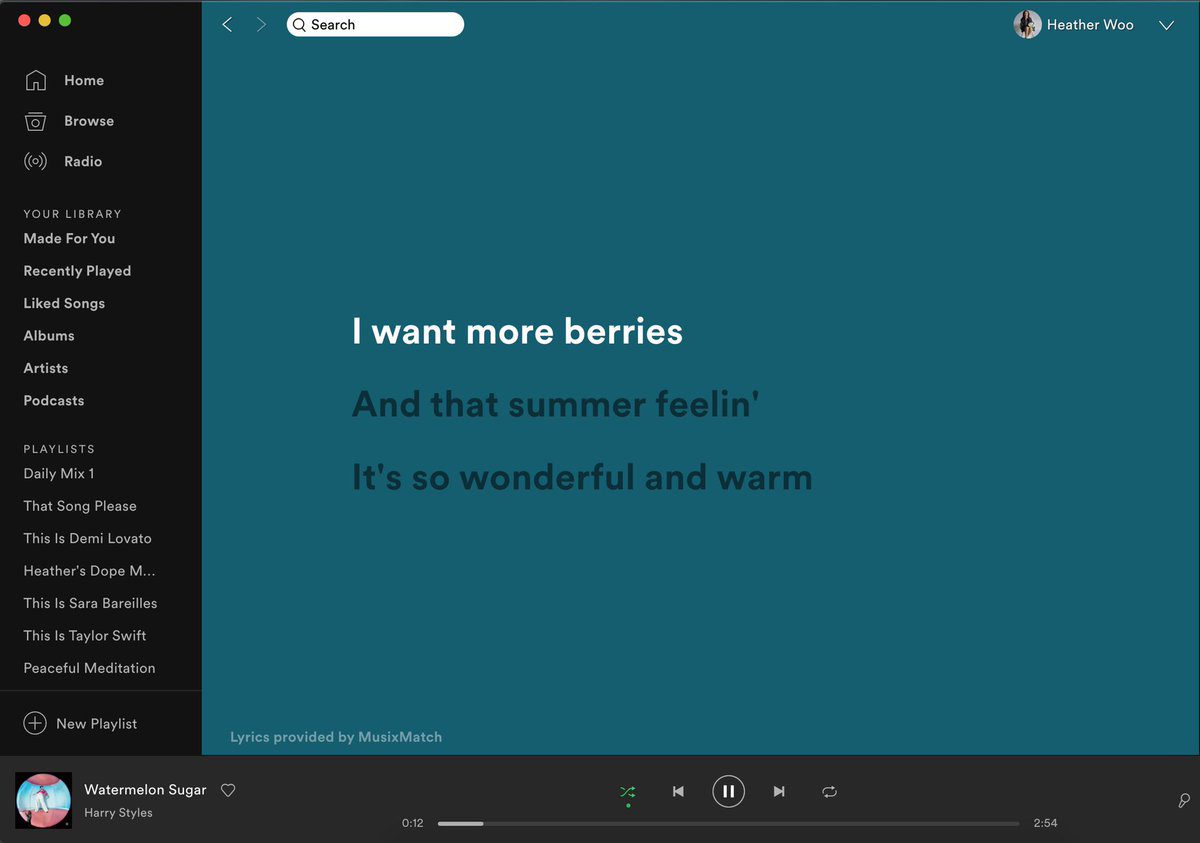 spotify lyrics dont work