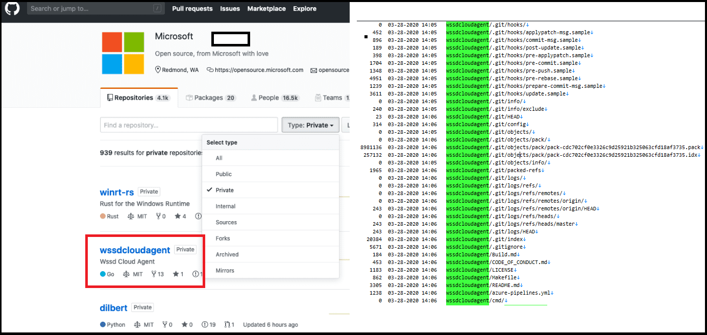 Киви хакер GITHUB.