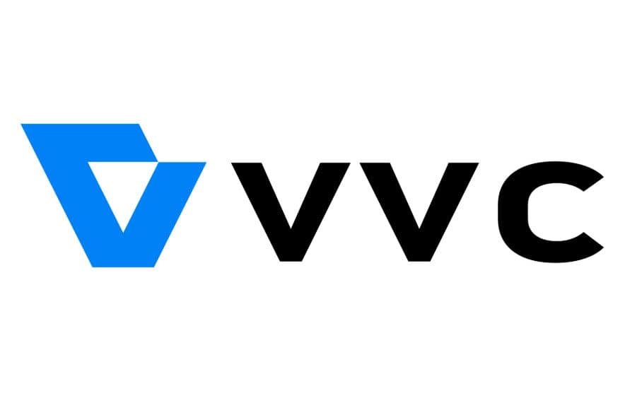 VVC video format
