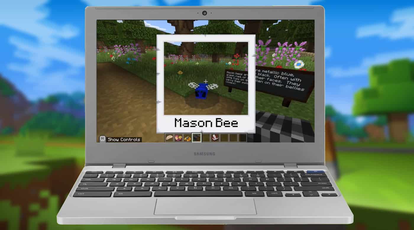 Minecraft Education Edition Chromebook bees