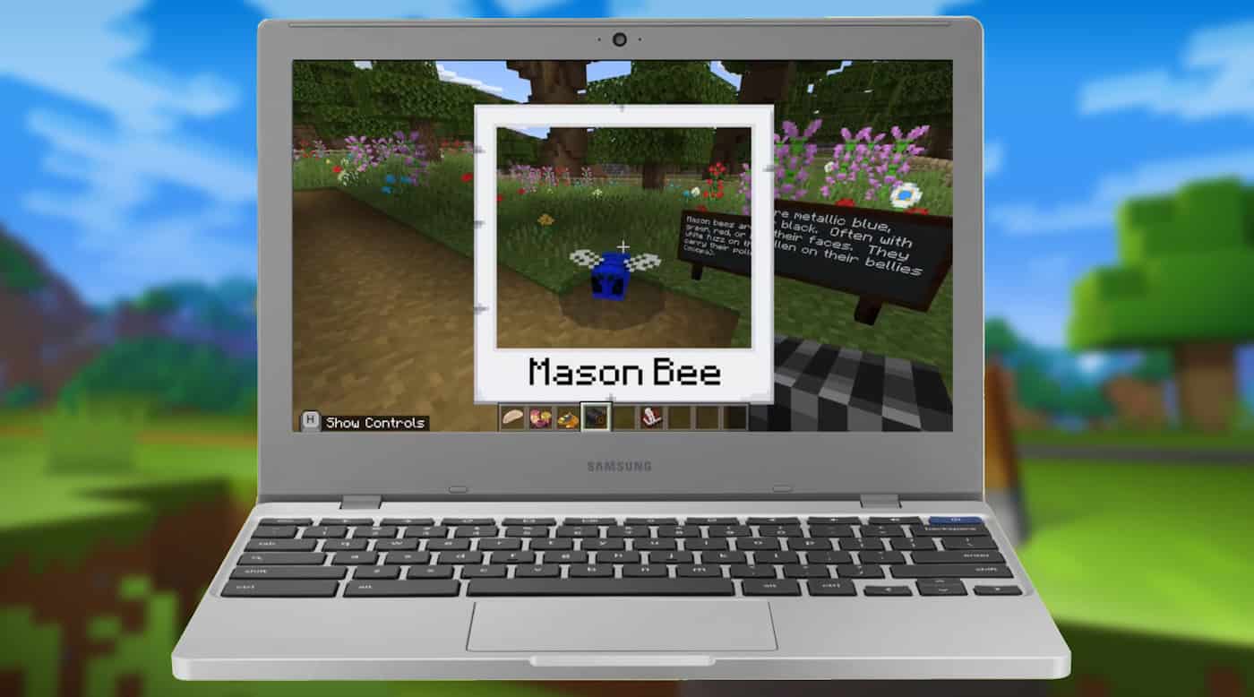 Minecraft Education for Chromebook