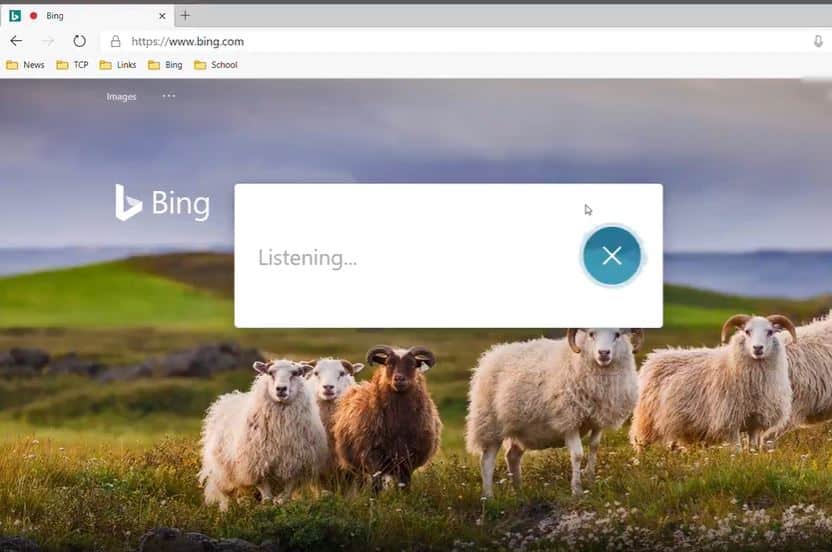 Microsoft Bing voice search