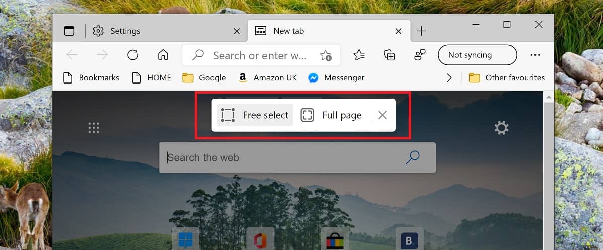 chrome full page screenshot plugin