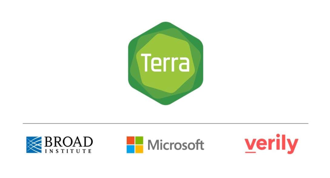 Microsoft Terra Wahrlich