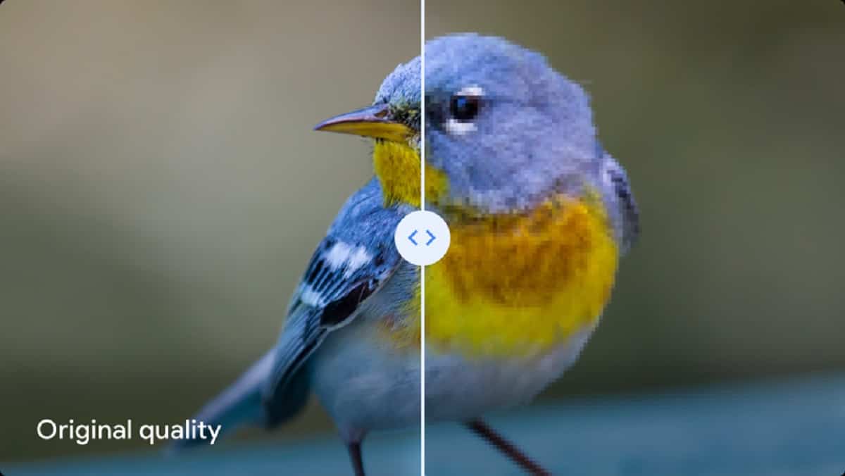 Google Photos’ compressed “high quality” mode will irreparably damage your photos … says Google