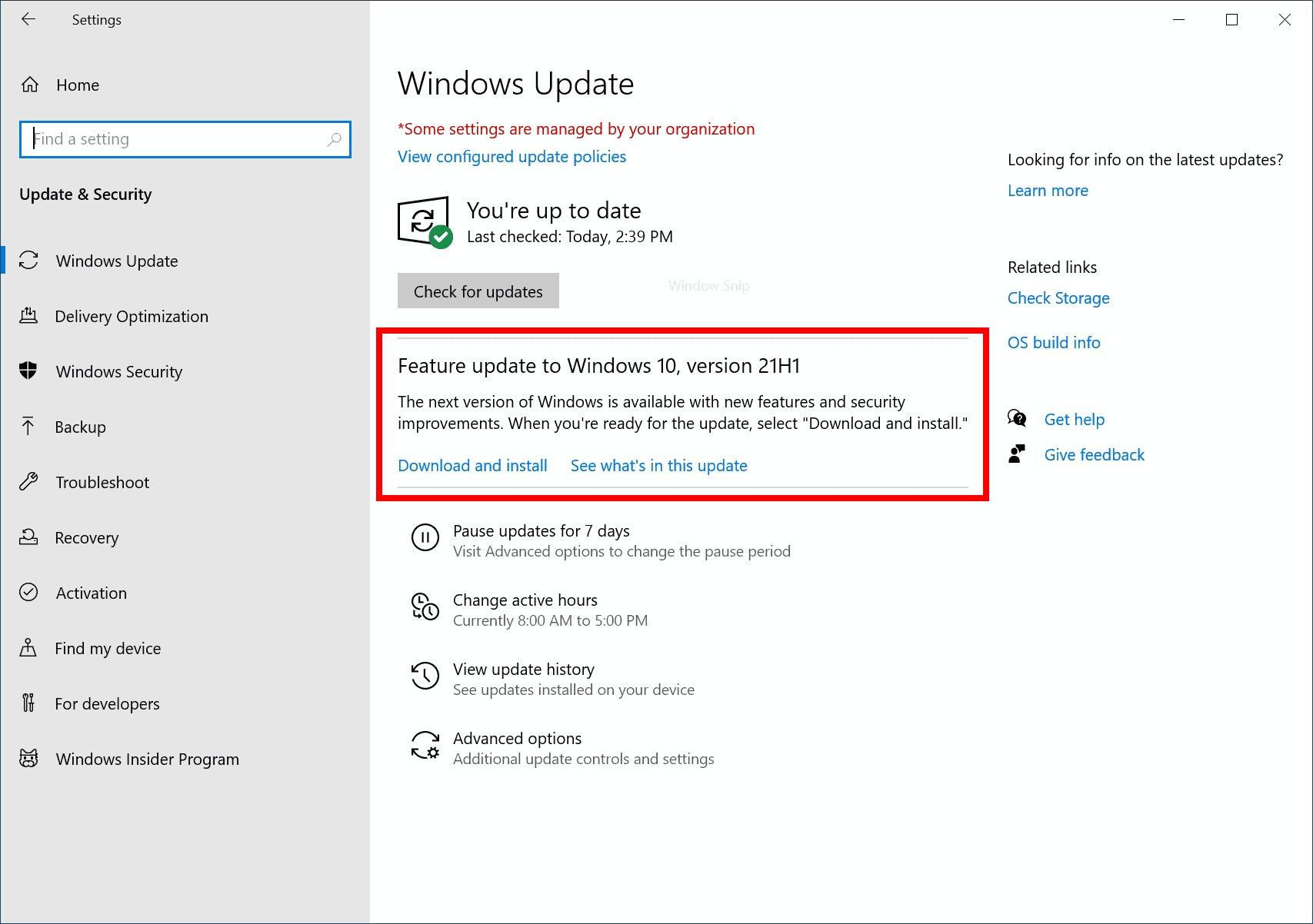 windows 11 download and install microsoft