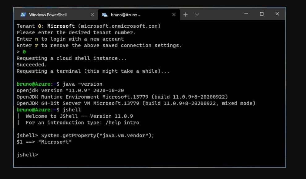 openjdk 11 msi for windows