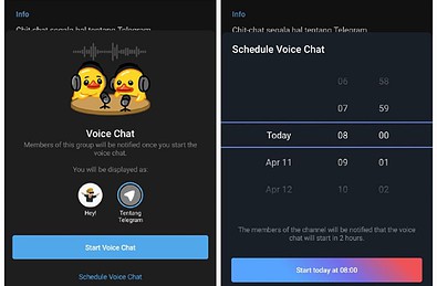 telegram voice chat