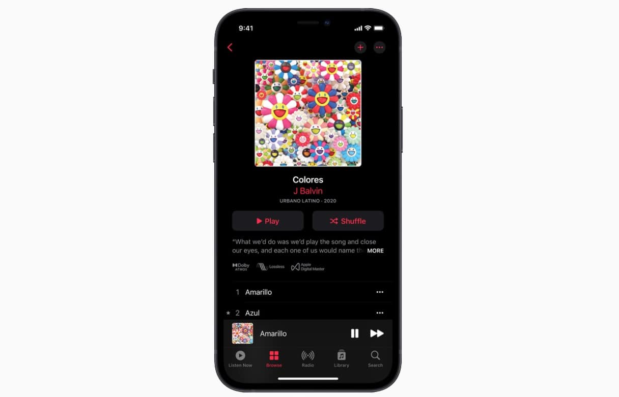 Apple Music Lossless Streaming app