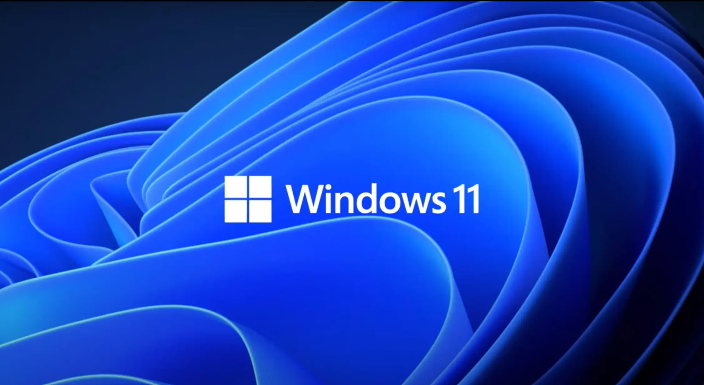 Windows 11 Theme Update