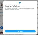 twitter for professionals 1
