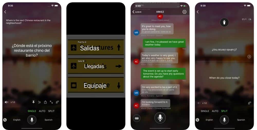 mate translate ios