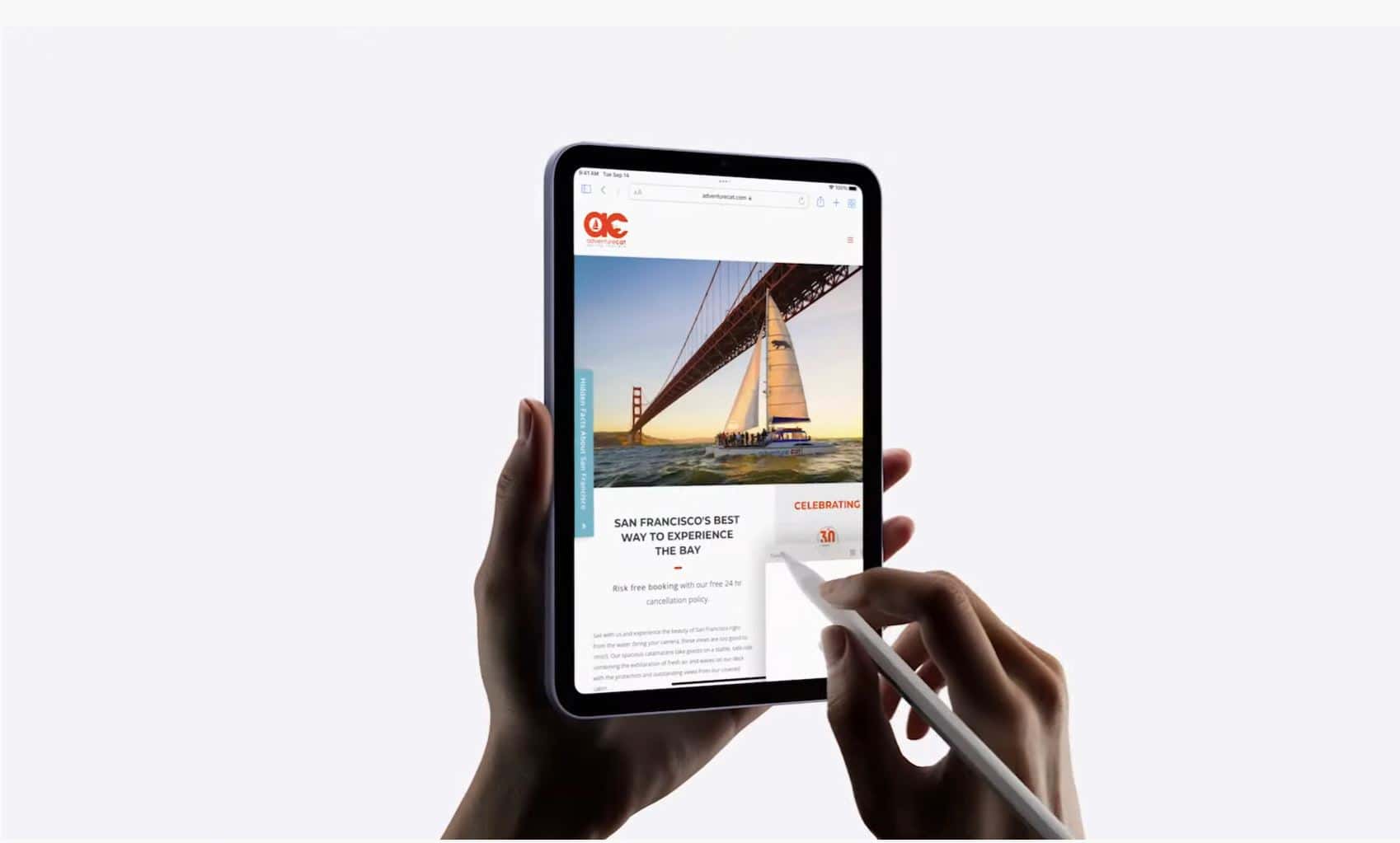 Das iPad mini der nächsten Generation verfügt möglicherweise über ein ProMotion-Display