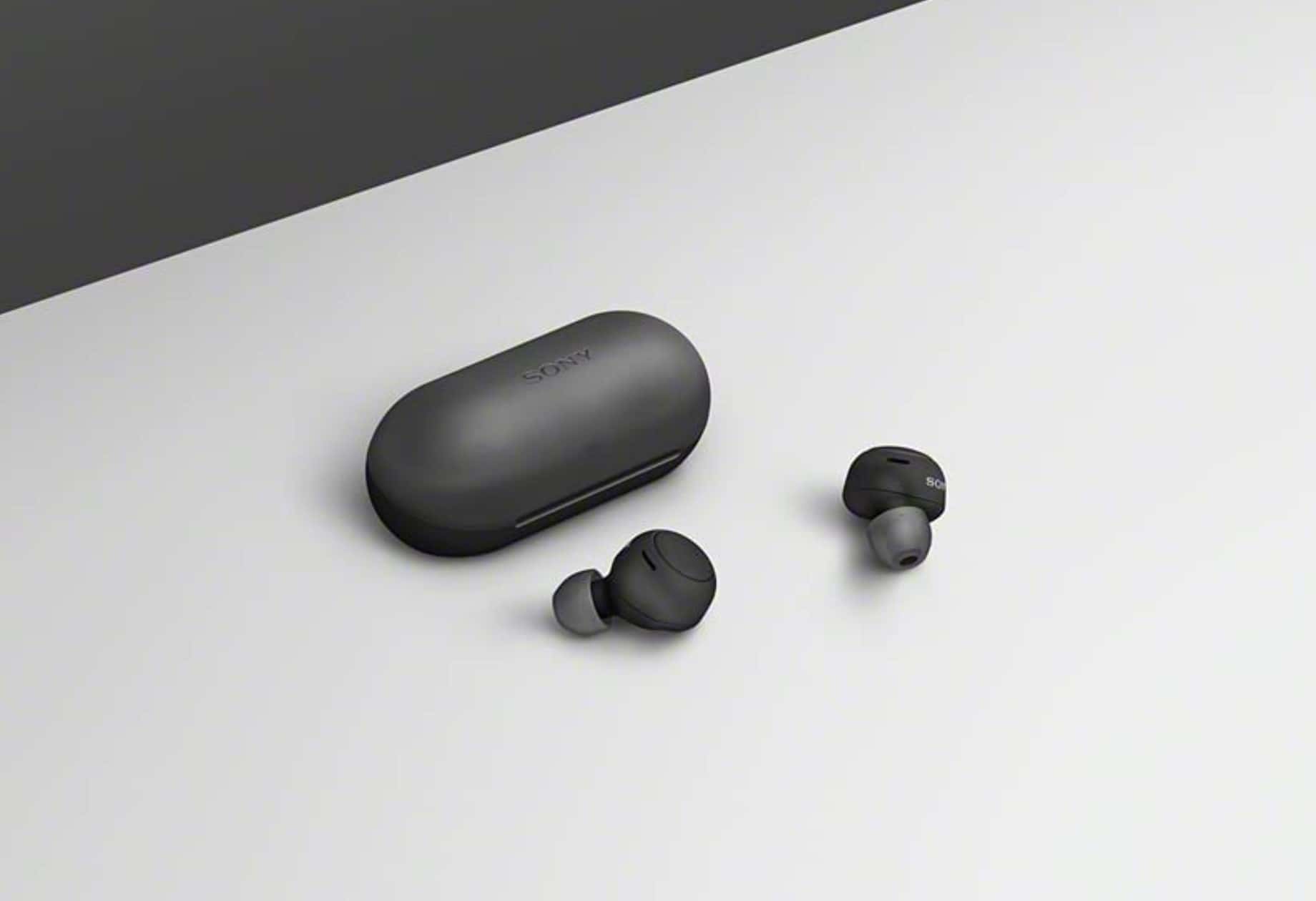 Sony WF-C500 Truly Wireless in-Ear Bluetooth Earbud