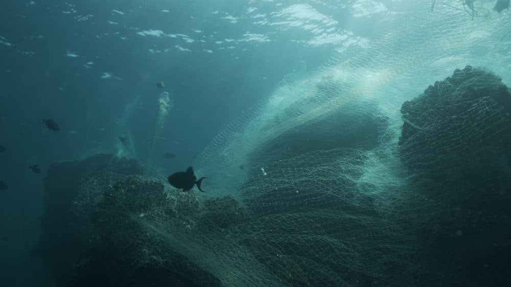 fishing nets in sea