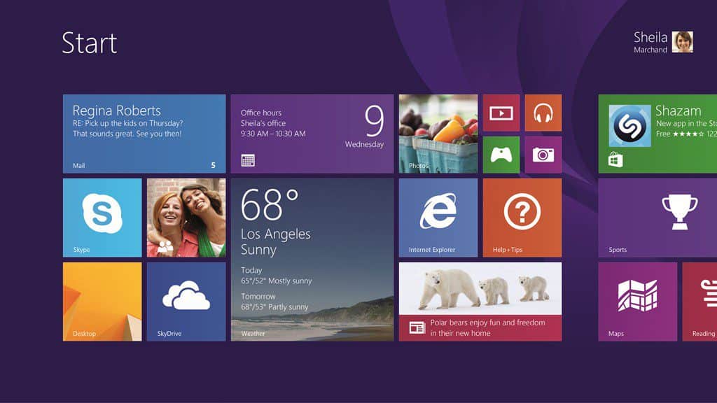 Microsoft       Windows 81