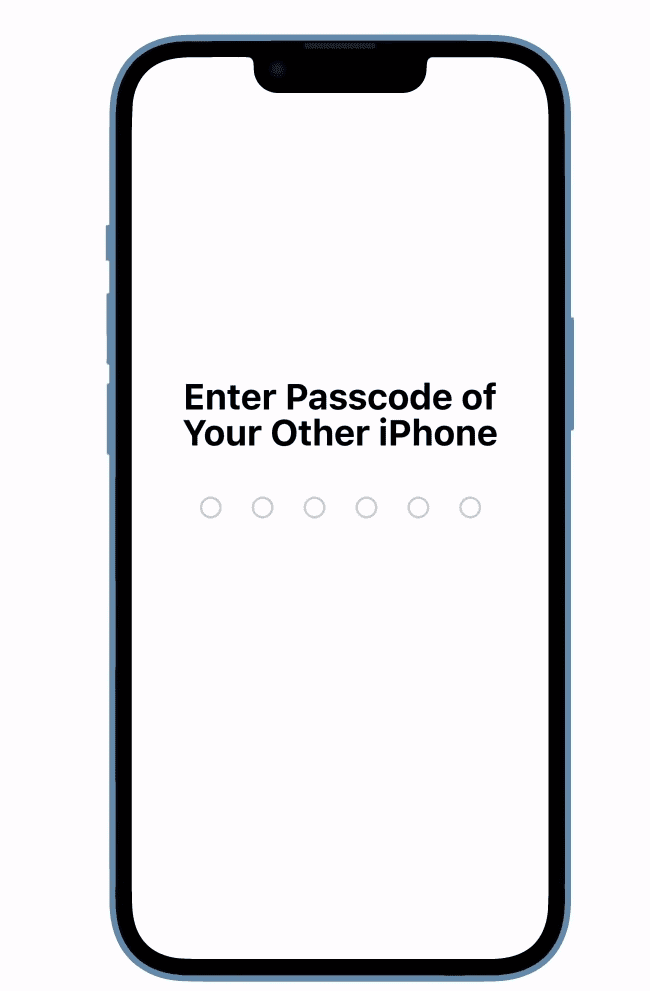 Enter The Passcode