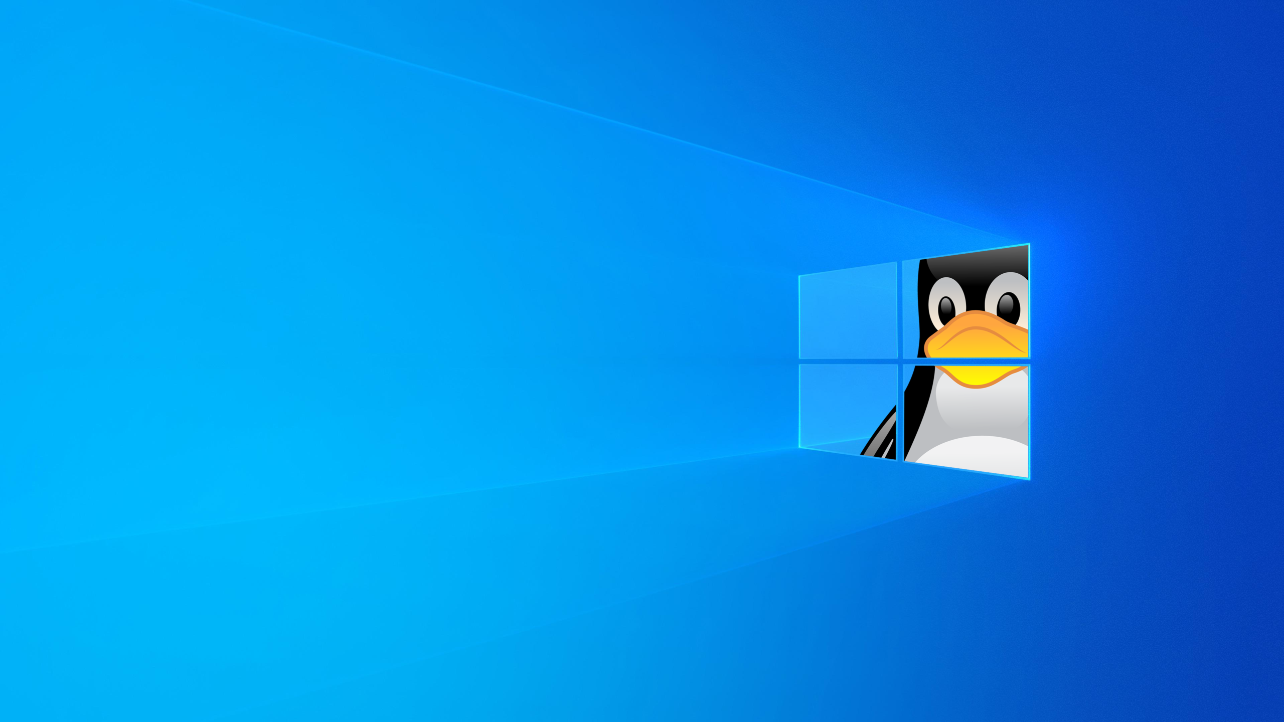 Running Windows Batch Files on Linux