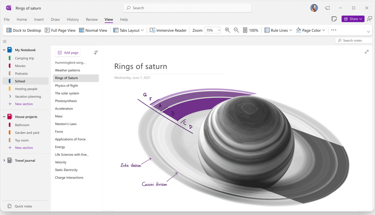 Disposition des onglets verticaux de OneNote sur Windows