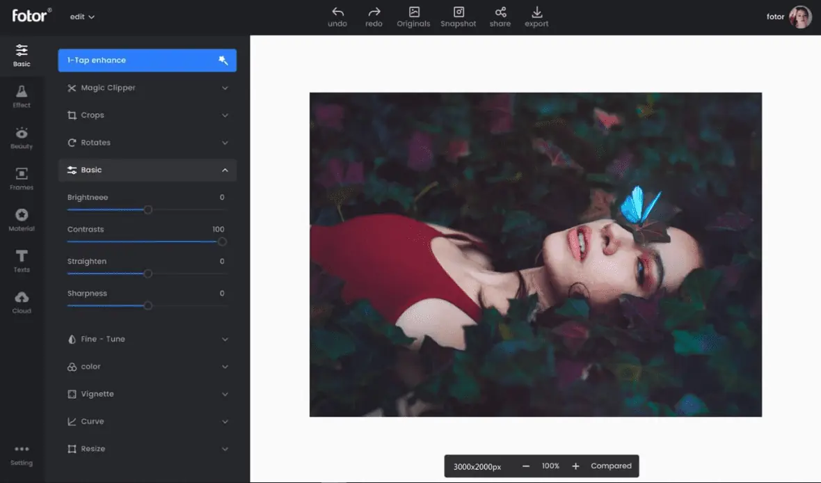 fotor desktop app for image restoration