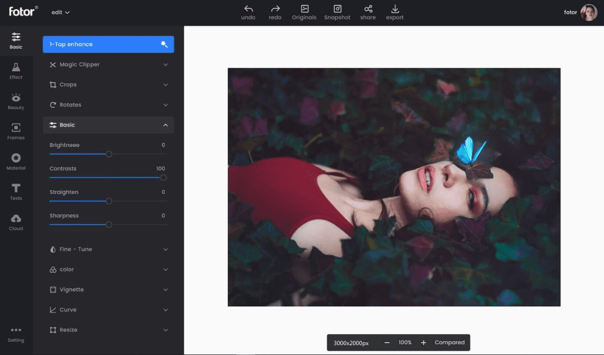 aplikasi desktop fotor untuk pemulihan gambar